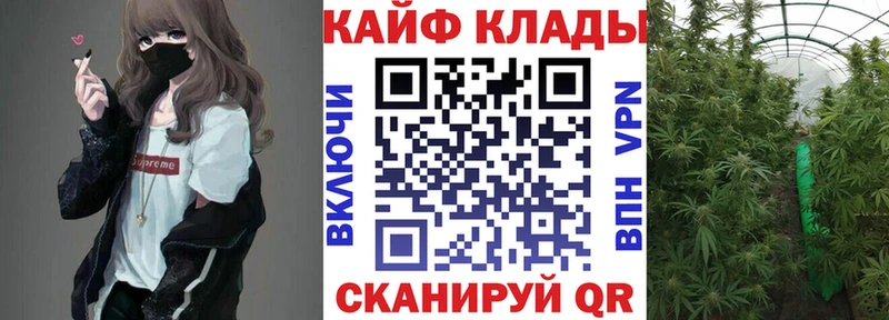 Какие есть наркотики Зеленокумск Каннабис  Псилоцибиновые грибы  ГАШ  Меф мяу мяу  Альфа ПВП 