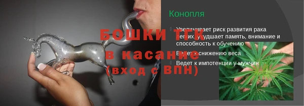 PSILOCYBIN Алзамай