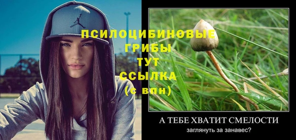 хмурый Абаза